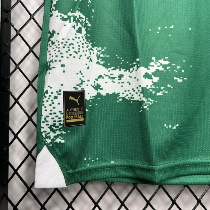 Mens Palmeiras 2024/25 Green and white Jersey 2