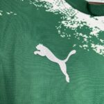 Mens Palmeiras 2024/25 Green and white Jersey 4