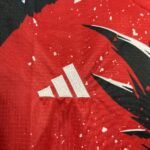 Mens Japan 2024/25 カカロット Jersey 2