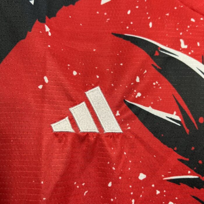 Mens Japan 2024/25 カカロット Jersey 2