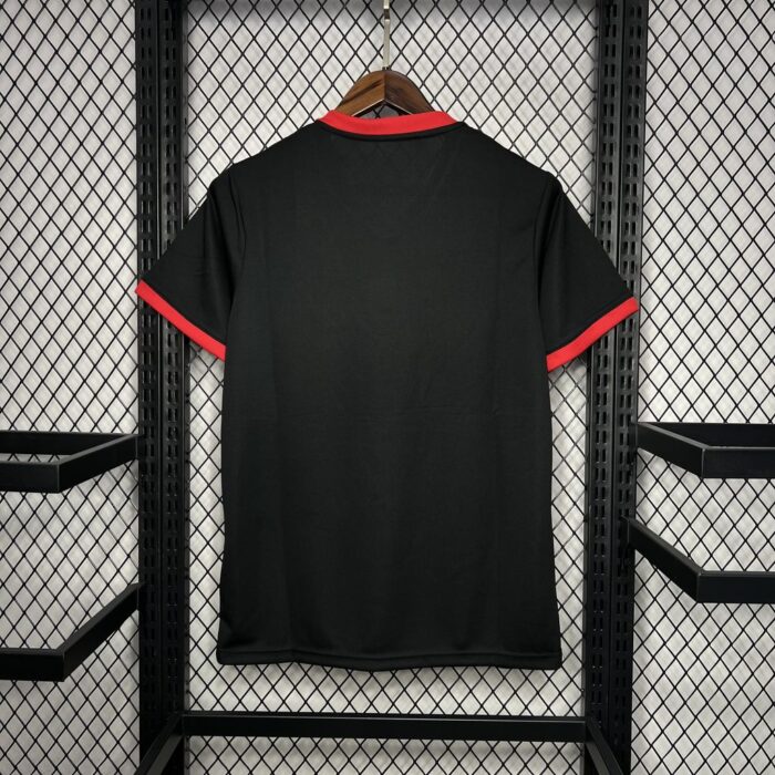 Mens Japan 2024/25 カカロット Jersey 1