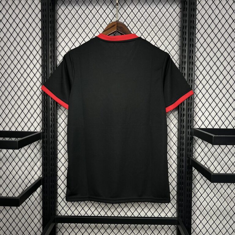 Mens Japan 2024/25 カカロット Jersey 1