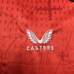 Mens Bayer 04 Leverkusen 2024/25 Home Jersey 2