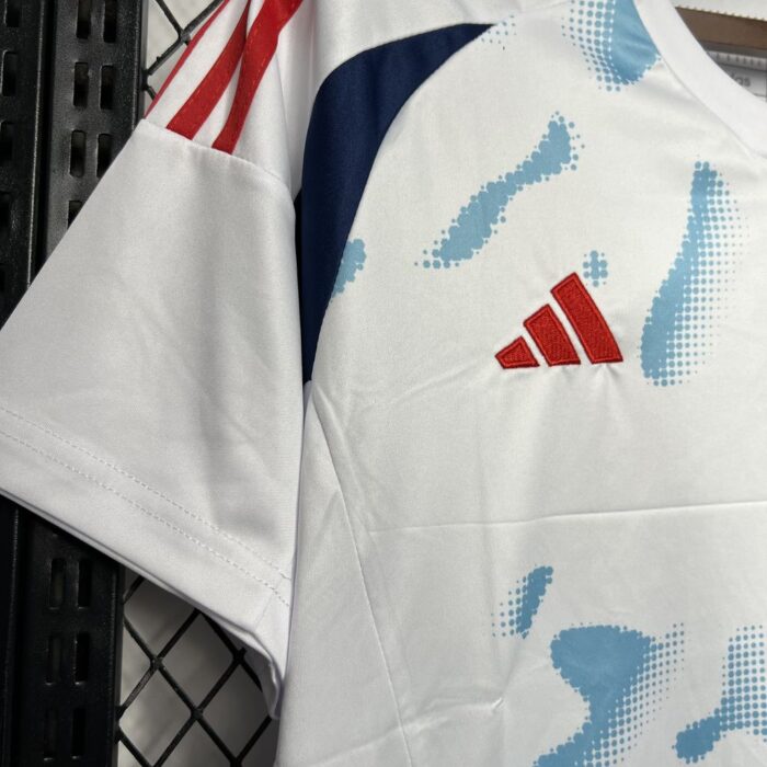 Mens Costa Rica 2024/25 Away Jersey 3