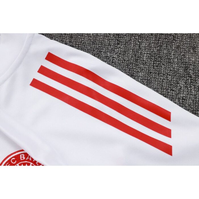 Kids Bayern Munich 2025/26 Half-Zip Sweater+Pant 815 5