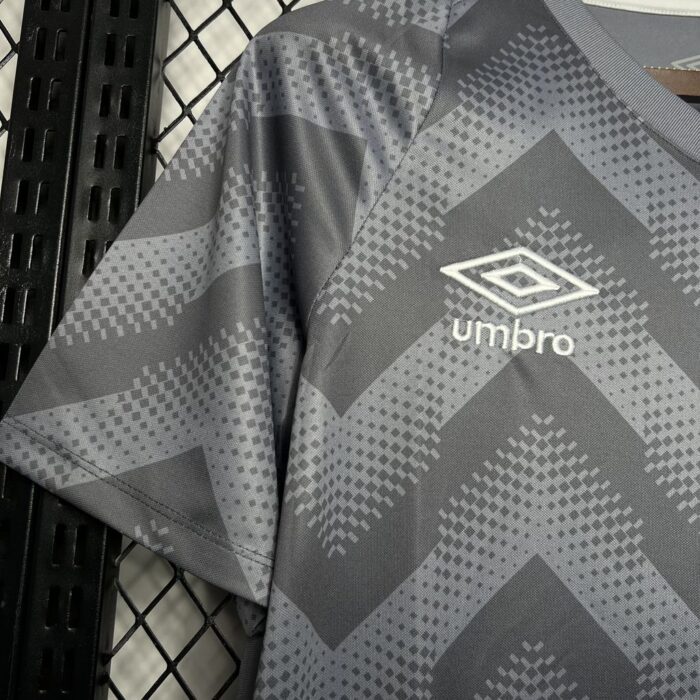 Mens Santos 2024/25 Pre-Match Jersey 3