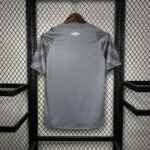 Mens Santos 2024/25 Pre-Match Jersey 1