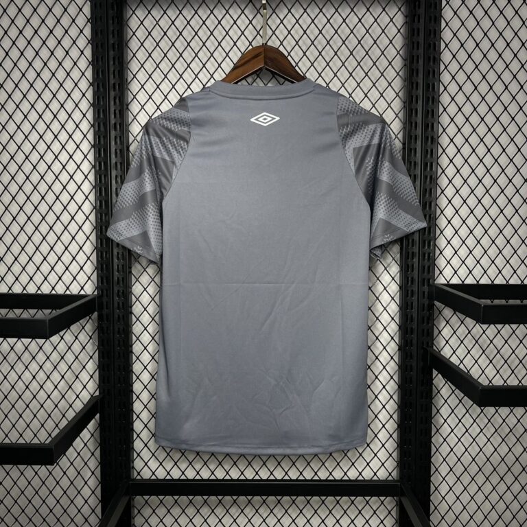 Mens Santos 2024/25 Pre-Match Jersey 1