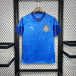 Mens Palmeiras 2024/25 Goalkeeper Jersey 6