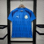 Mens Palmeiras 2024/25 Blue Pre-Match Jersey 6