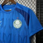 Mens Palmeiras 2024/25 Blue Pre-Match Jersey 5