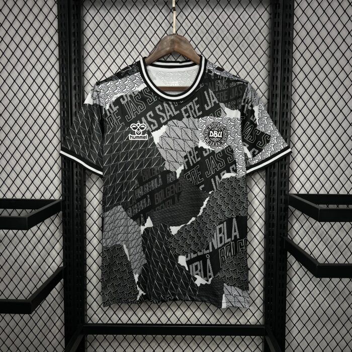 Mens Denmark 2024/25 Pre-Match Jersey 6