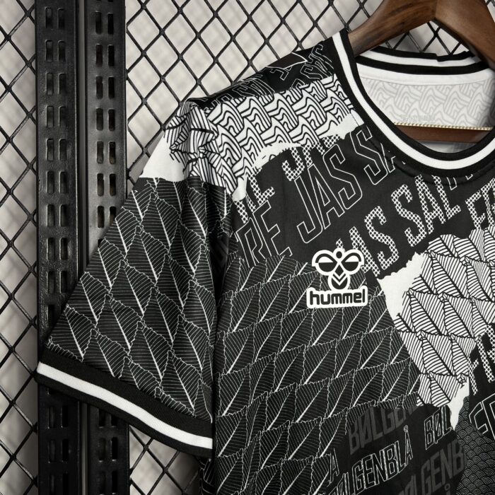 Mens Denmark 2024/25 Pre-Match Jersey 4