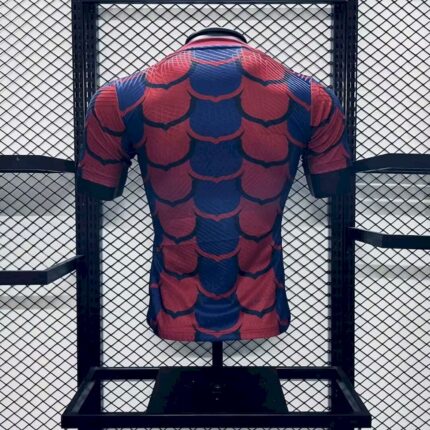 Mens Barcelona 2024/25 Jersey Player Version 1