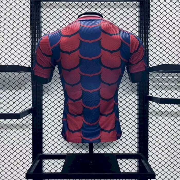Mens Barcelona 2024/25 Jersey Player Version 1