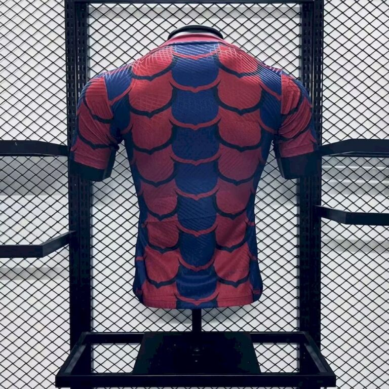 Mens Barcelona 2024/25 Jersey Player Version 1