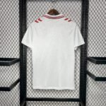 Mens Denmark 2024/25 Away Jersey 1