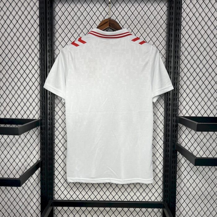 Mens Denmark 2024/25 Away Jersey 1