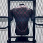 Mens Mexico 2024/25 Home Jersey Player Version 1