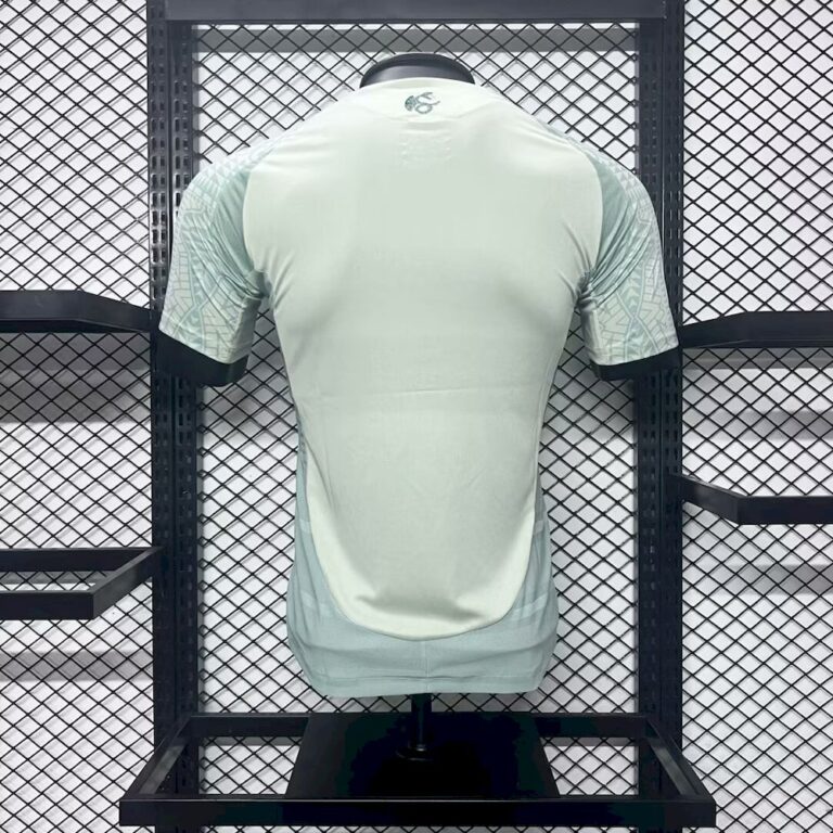 Mens Mexico 2024/25 Away Jersey Player Version 1
