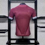 Mens Norway 2024/25 Home Jersey Player Version 1