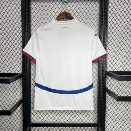 Mens Serbia 2024/25 Away Jersey 1