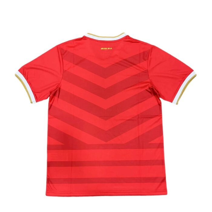 Mens Panama 2024/25 Commemorative Edition Jersey 2