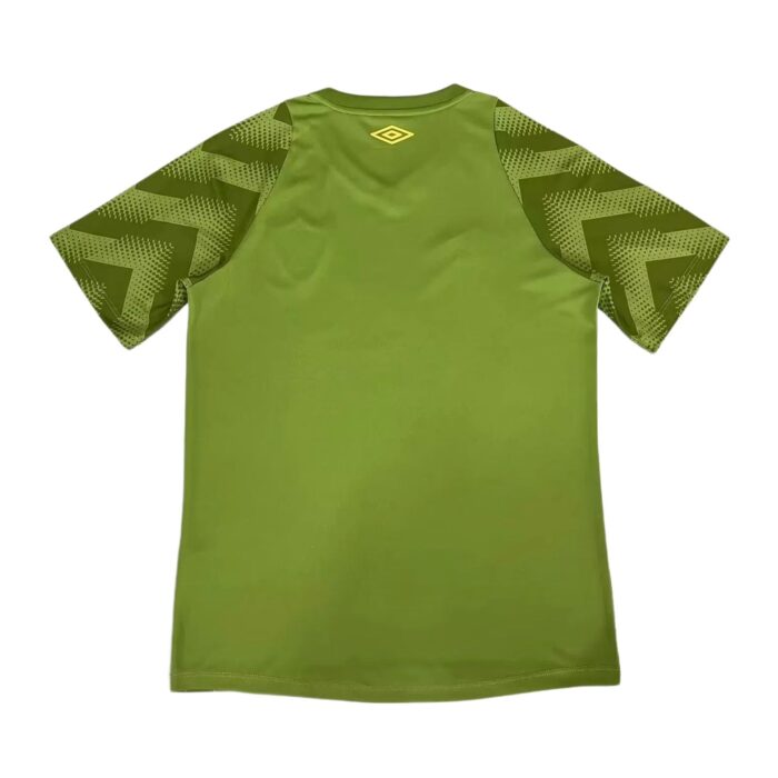 Mens Fluminense 2024/25 Pre-Match Jersey 1