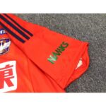 Albirex Niigata 2023/24 Home Jersey 6