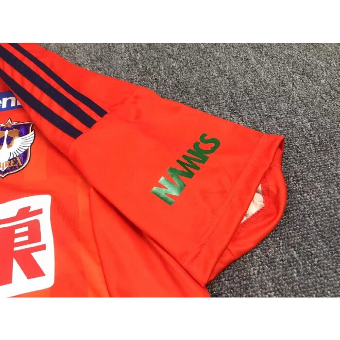 Albirex Niigata 2023/24 Home Jersey 6