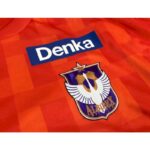 Albirex Niigata 2023/24 Home Jersey 4