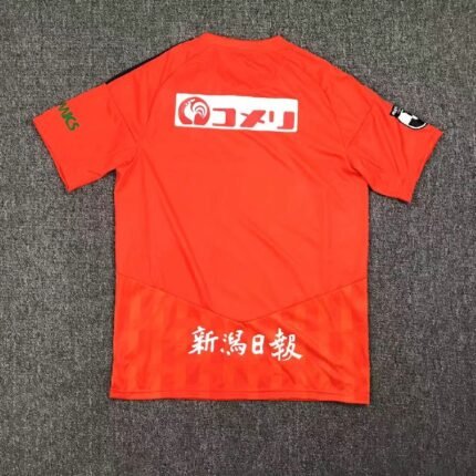 Albirex Niigata 2023/24 Home Jersey 1