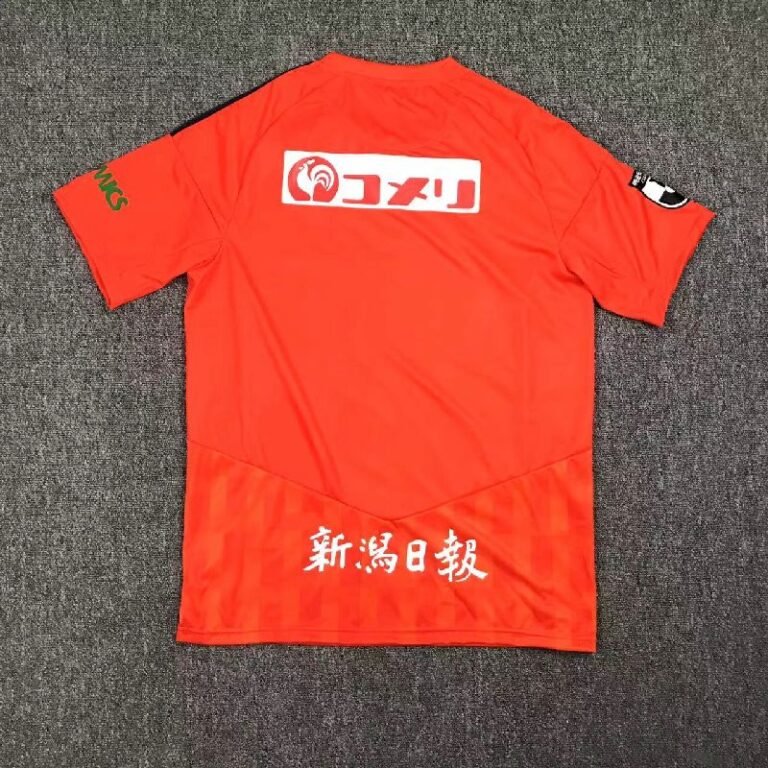 Albirex Niigata 2023/24 Home Jersey 1