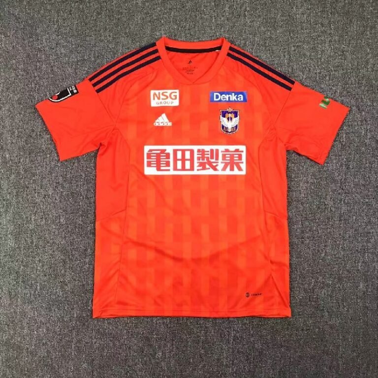 Albirex Niigata 2023/24 Home Jersey 2