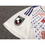 Albirex Niigata 2023/24 Away Jersey 6