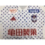 Albirex Niigata 2023/24 Away Jersey 5