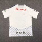Albirex Niigata 2023/24 Away Jersey 2