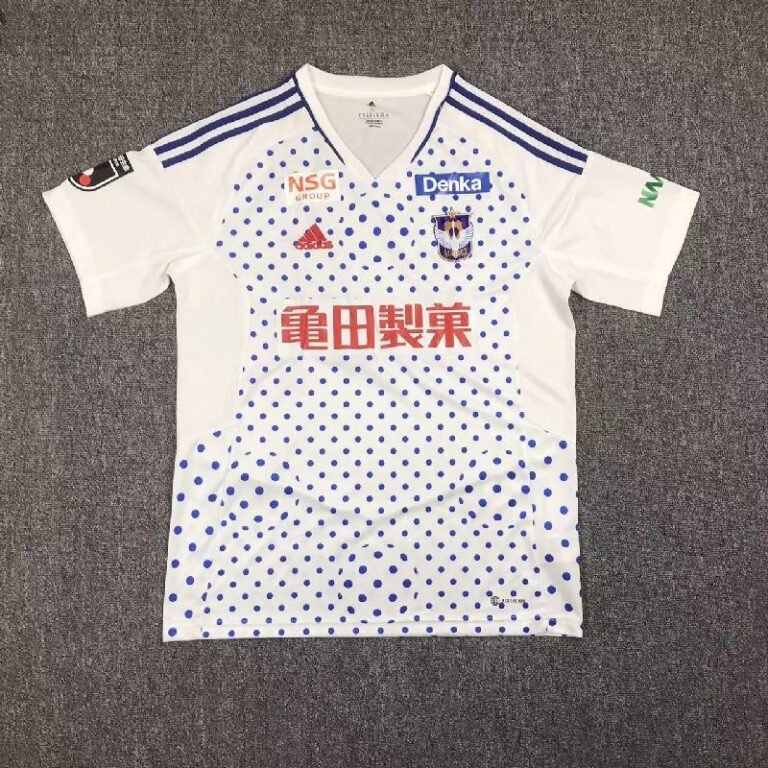 Albirex Niigata 2023/24 Away Jersey 1