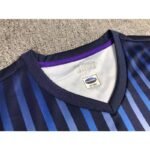 Avispa Fukuoka 2023/24 Home Jersey 2