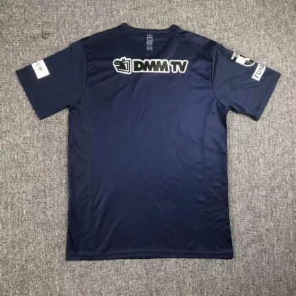 Avispa Fukuoka 2023/24 Home Jersey 1