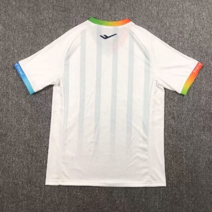 FC Seoul 2024/25 Awy Jersey 1