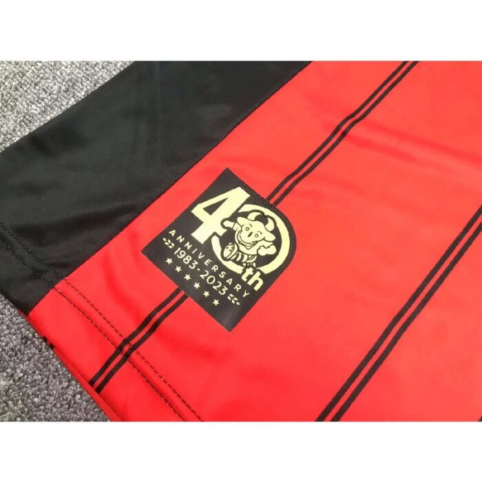 FC Seoul 2023/24 Home Jersey 3
