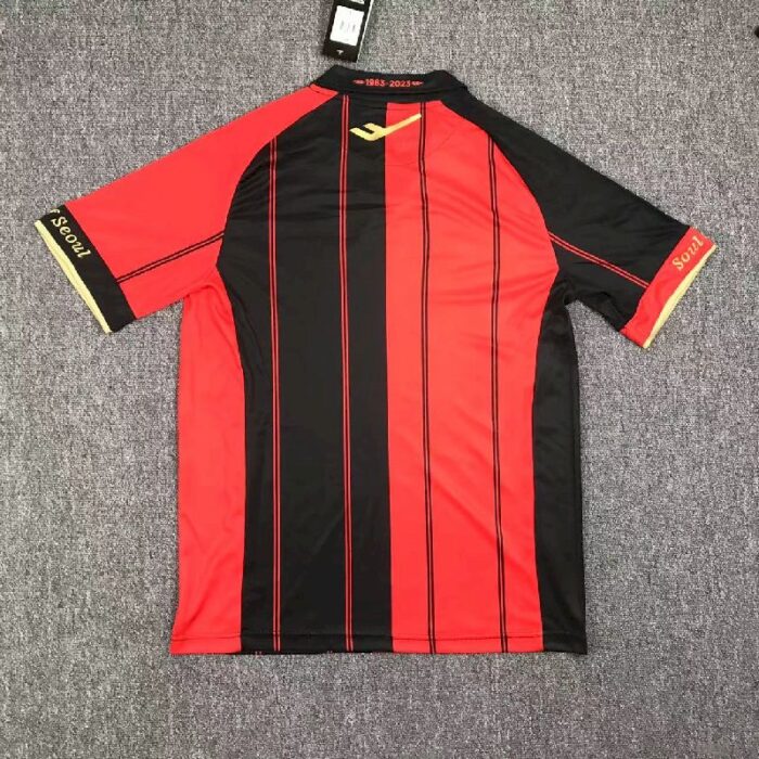 FC Seoul 2023/24 Home Jersey 1