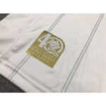 FC Seoul 2023/24 Away Jersey 2