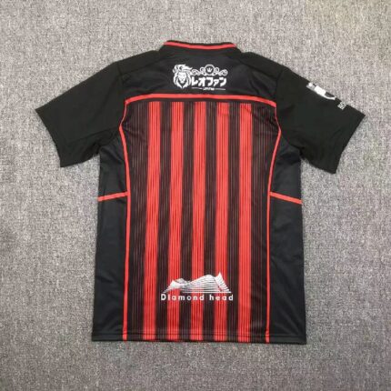 Hokkaido Consadole Sapporo 2024/25 Home Jersey 1