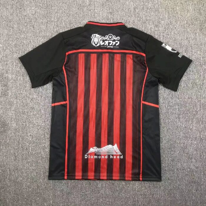 Hokkaido Consadole Sapporo 2024/25 Home Jersey 1