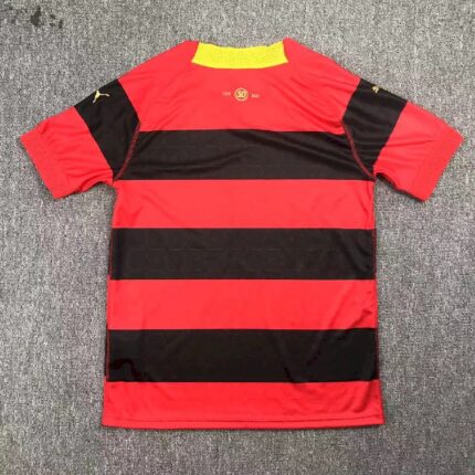 Pohang Steelers 2024/25 Home Jersey 1