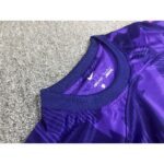 Sanfrecce Hiroshima 2023/24 Home Jersey 5