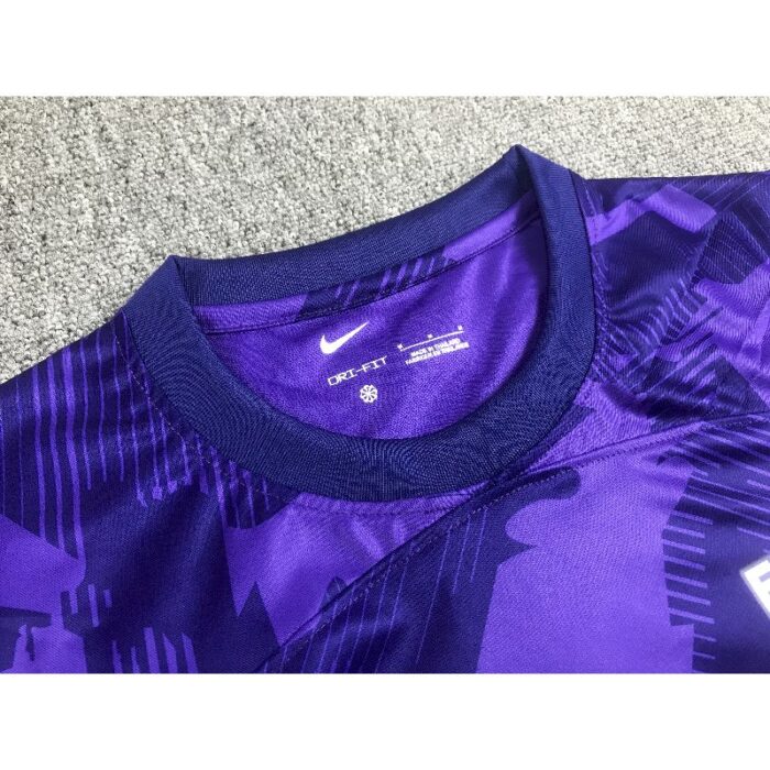 Sanfrecce Hiroshima 2023/24 Home Jersey 3