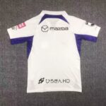 Sanfrecce Hiroshima 2023/24 Away Jersey 1